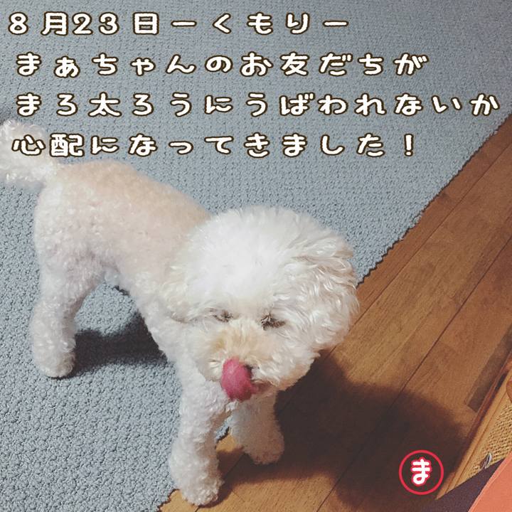 8a7dc704 0b5d 456d acef 680fad032cda