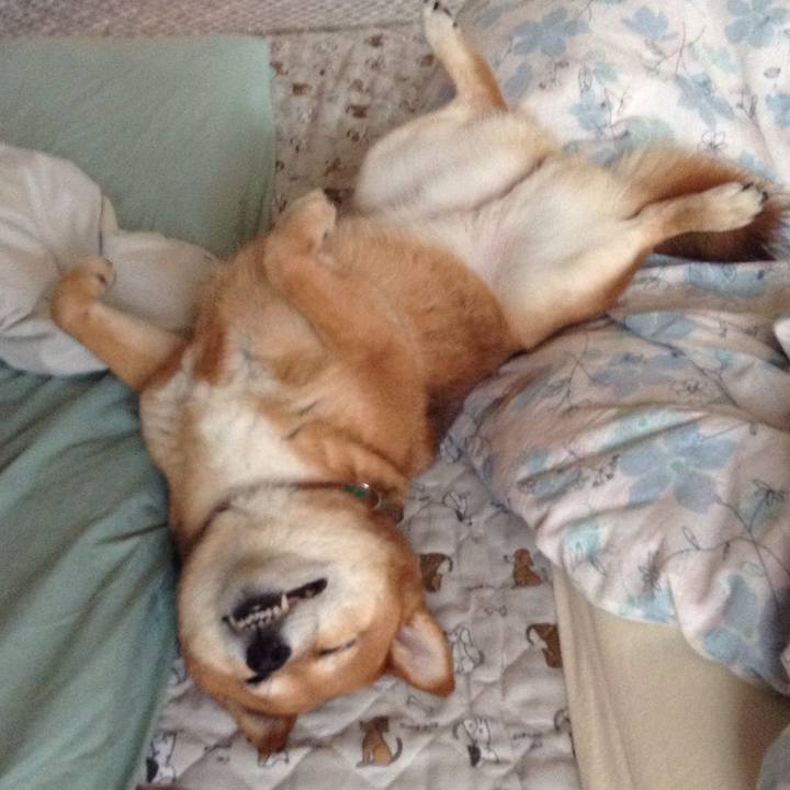 8a7e742d 407a 45cd 9a0f 236501d82a8e