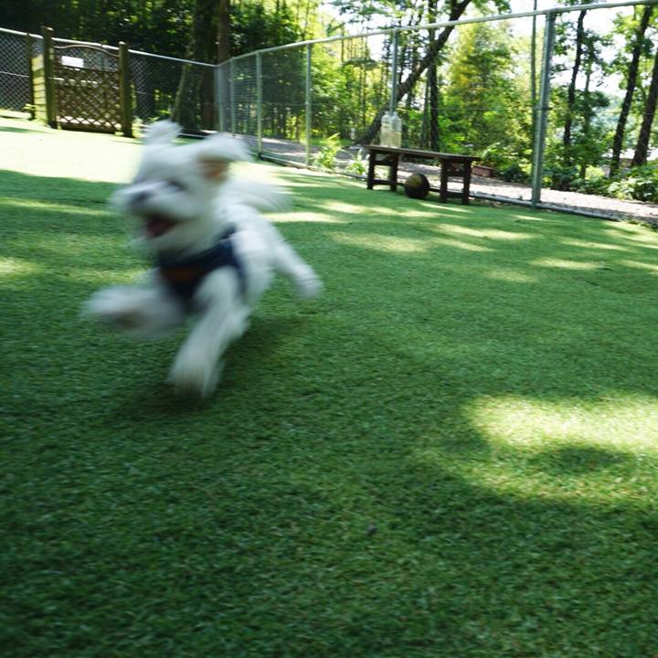 8a7fee2b 6bcc 46a1 b75b f2c84d80d418