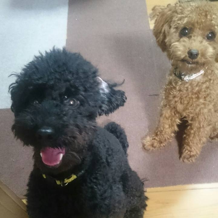 8a7ffafd 9bad 48d3 824e 8ad683442193