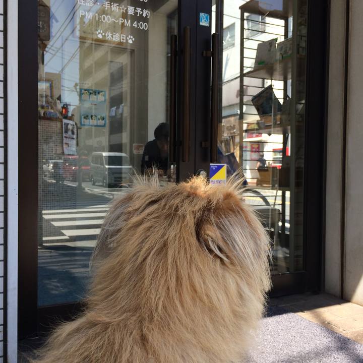 8a800f0c 0cc6 4cbb ab61 c03b7eb4a641