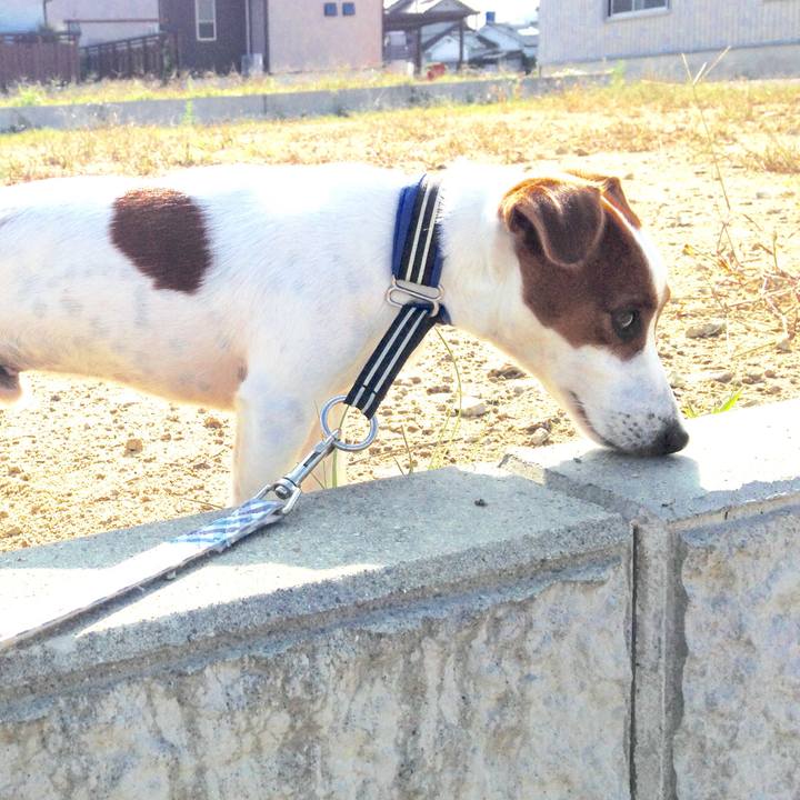 8a802fc4 26b1 4946 9822 c6367f7e5f45