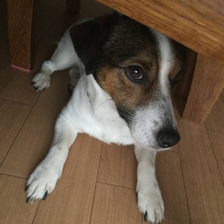 8a806f29 14a9 402d a63f c5d25c268eac