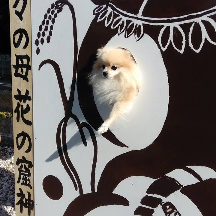 8a80a296 4e85 425a 862b 33dfd79c87c3