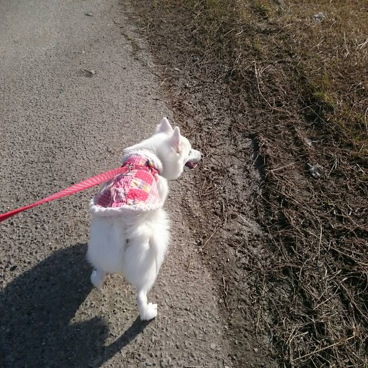 8a80ac7b 2066 42d4 8278 928963fe7b95