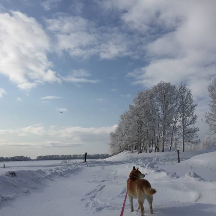 8a80efea 8bd9 4cc8 8533 f0280d096949