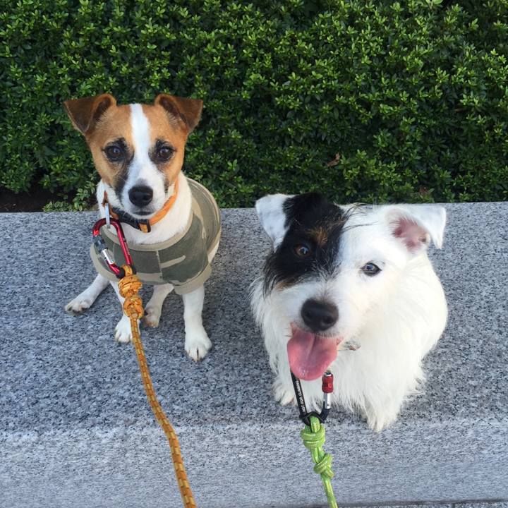 8a82a653 d1ba 47b4 a502 de2040c3e580