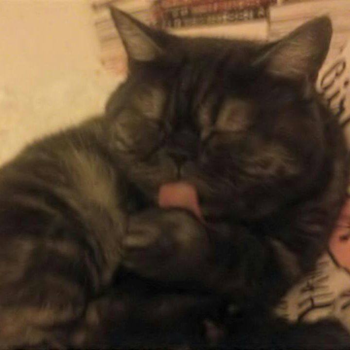 8a8306d6 9507 4e3b 933b aca4f5a4d15a