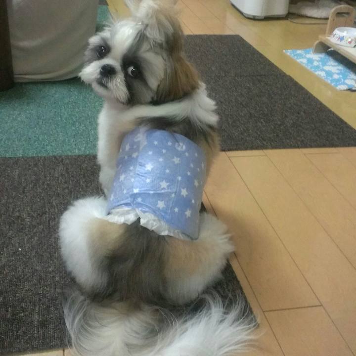 8a83161d 8283 4877 b264 89fe36ad83d3