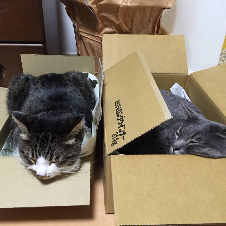 8a837f06 a4a1 478a 8cea f1f4abef84e0