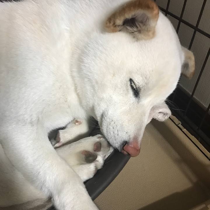 8a83c650 2b25 4772 88f7 9db085b787b2