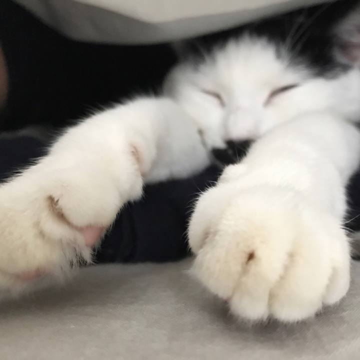 8a83f577 dea7 4b35 a548 c1bfe2a18245