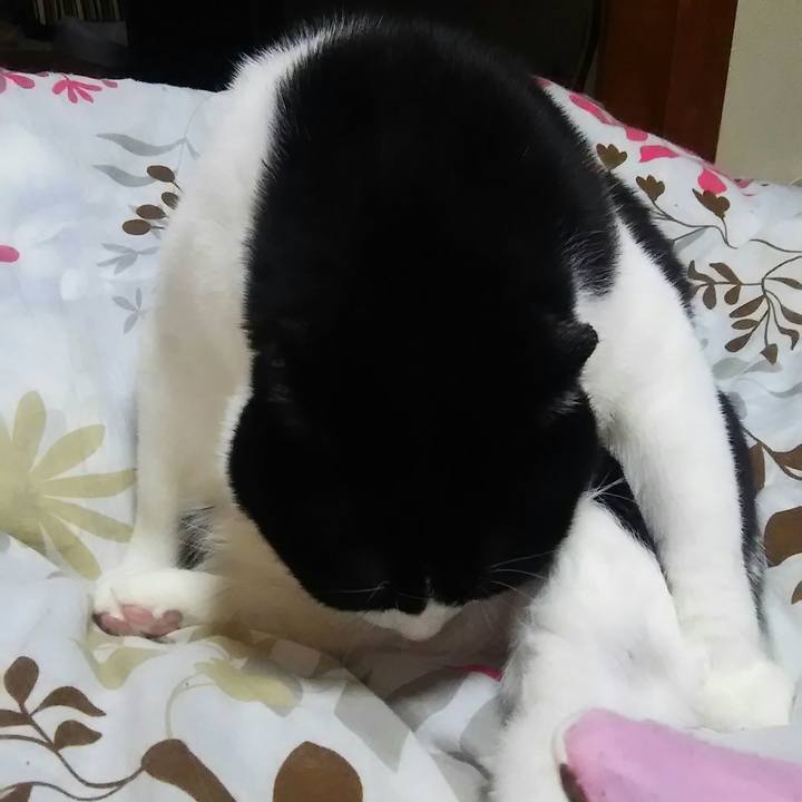 8a844f51 1220 4127 83ed 5c423ca4580d