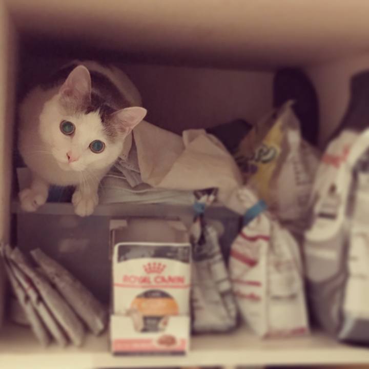 8a84508d ef7c 44b1 baed ac372c93153c