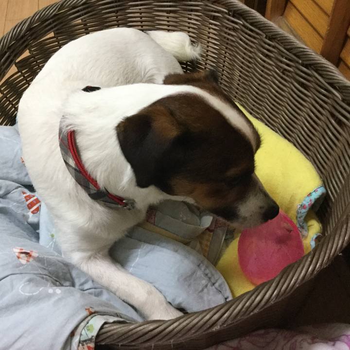 8a84c577 185a 4225 94ca d7169a07e3f6