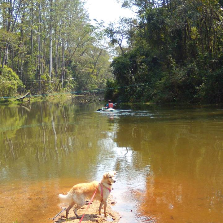 8a8515ac decb 412d aeb8 aa65ff8ded55