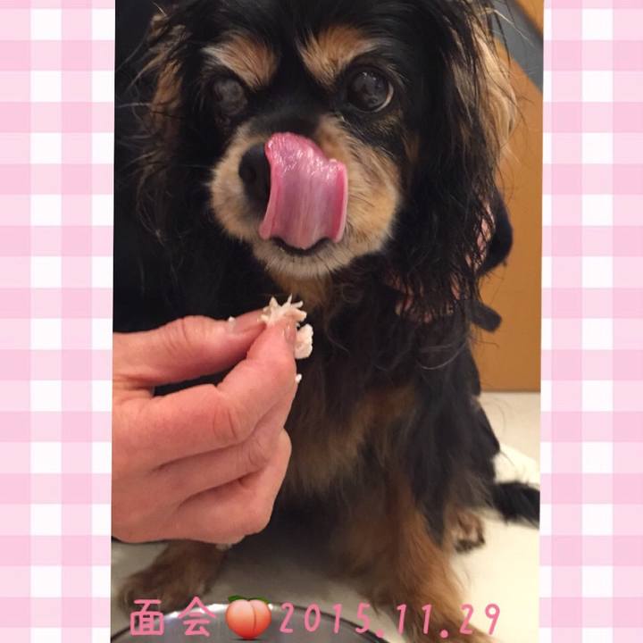 8a857083 8fa7 4004 a81d d0226b906b89