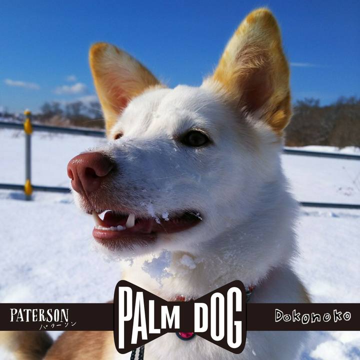 8a85b154 a0b2 41a7 a2b6 af3989d392ce