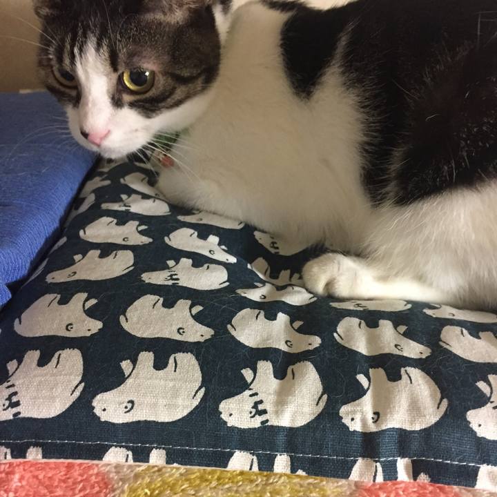 8a85cead 4217 44ed 9fb9 40d26975fb53