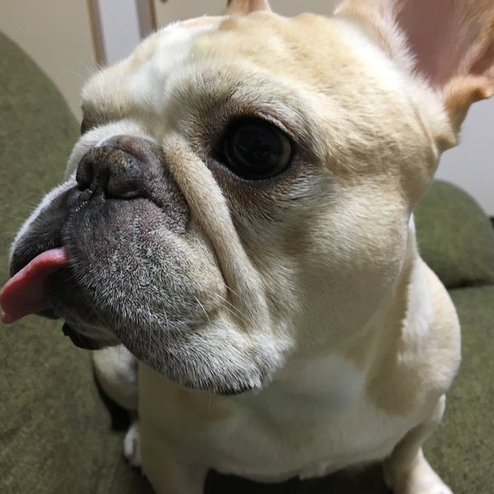 8a868b73 e2cc 4114 86c8 dd5050665d80