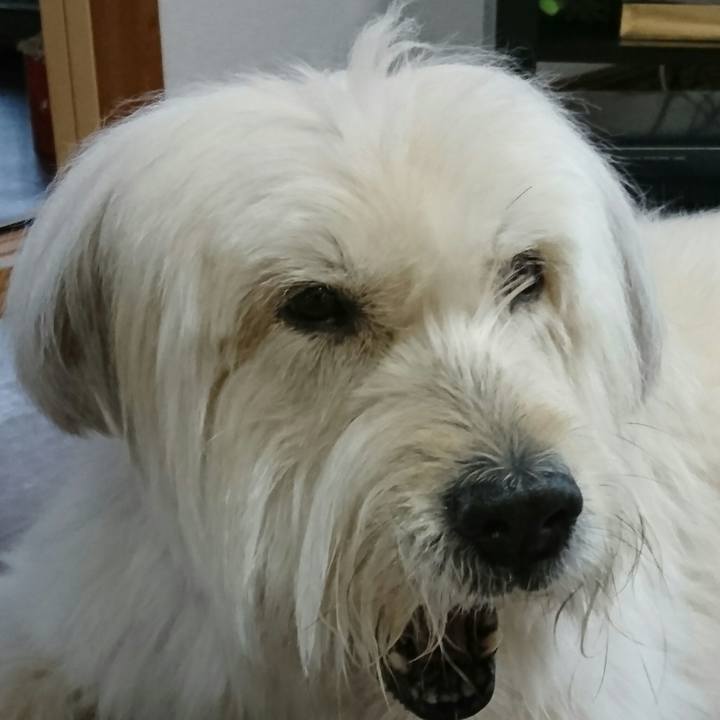 8a8741ff b06e 46fa a6a1 c77144d94cb5