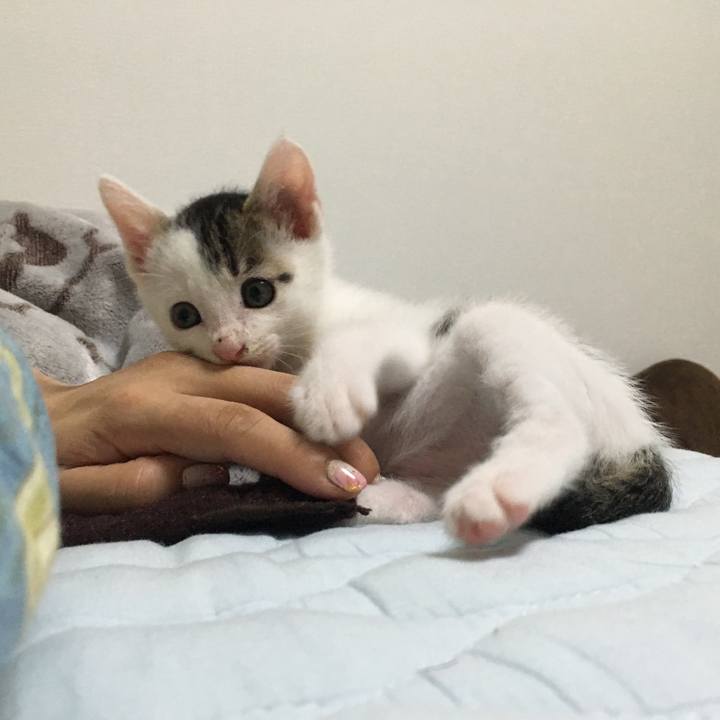 8a8773c7 9e1c 4f10 803c bffd2df0986c