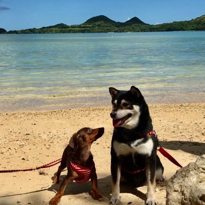 8a877cb8 cf20 4914 8dfc f6cd6e25e45e