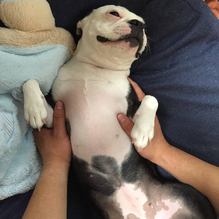 8a87e287 a6ca 4271 a3f1 e3b128d9a017