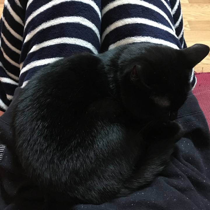 8a87ea39 68d8 4ef2 8c61 99751bd19479