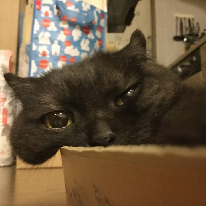 8a882fde a968 43da 9d2d 95644c977b49