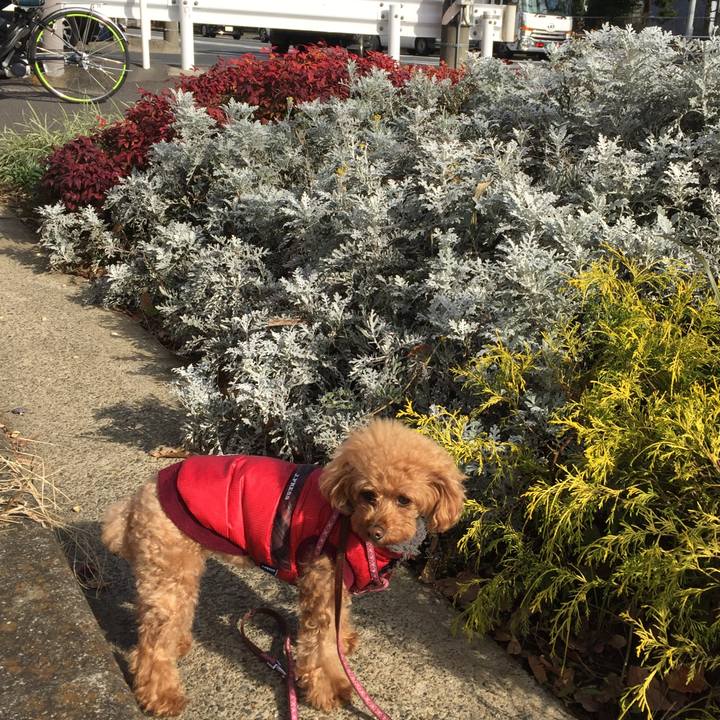 8a88fe5d 35b3 4976 b2c4 540f0c6f9cac