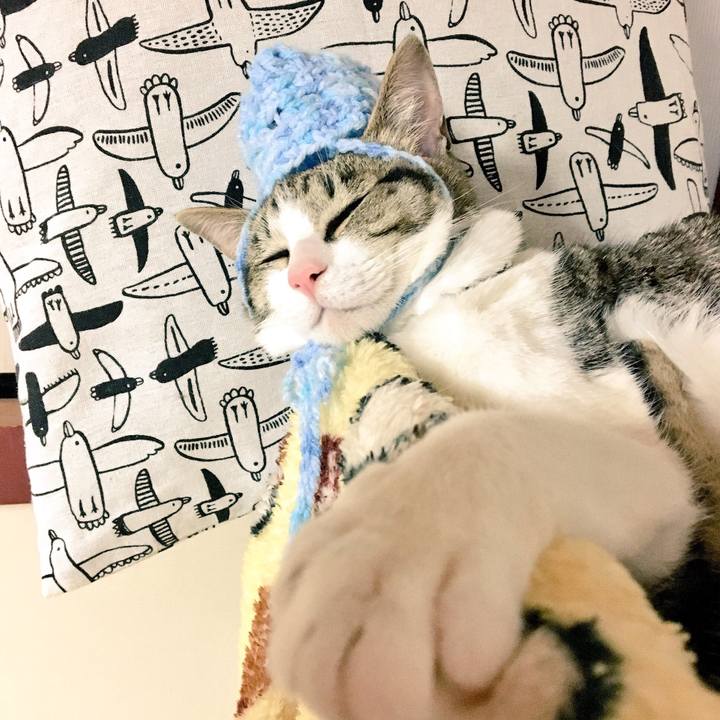 8a89ab66 3477 45e1 9b8e 957644d0a2b6