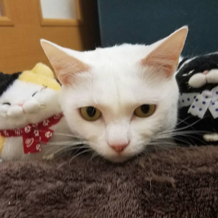 8a89d975 d7a7 47a8 a62f 7e1379d24b6d