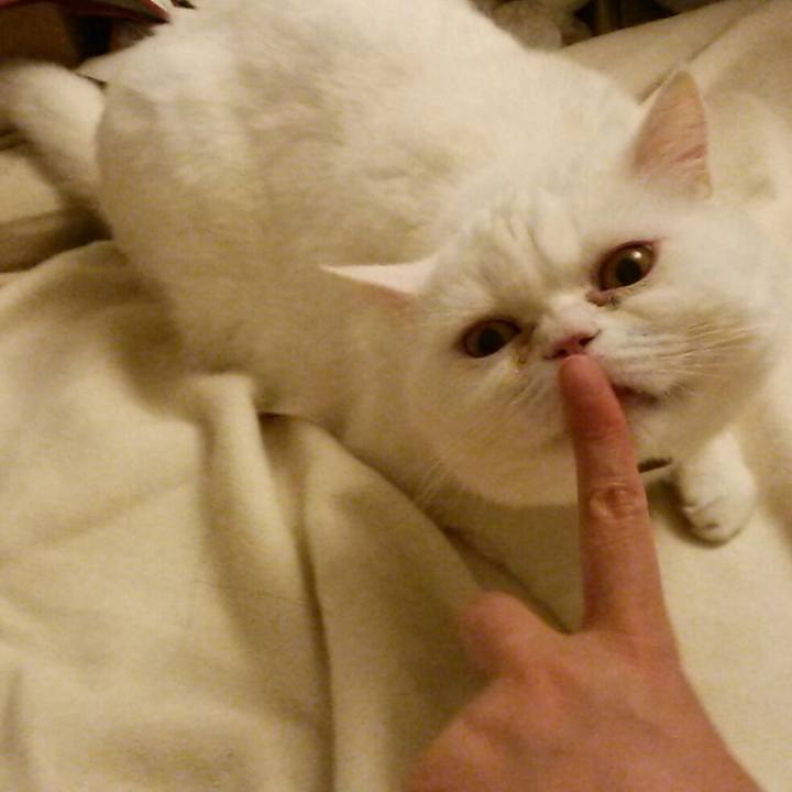 8a8a6511 2c09 4a99 9b31 2796a703a2a7