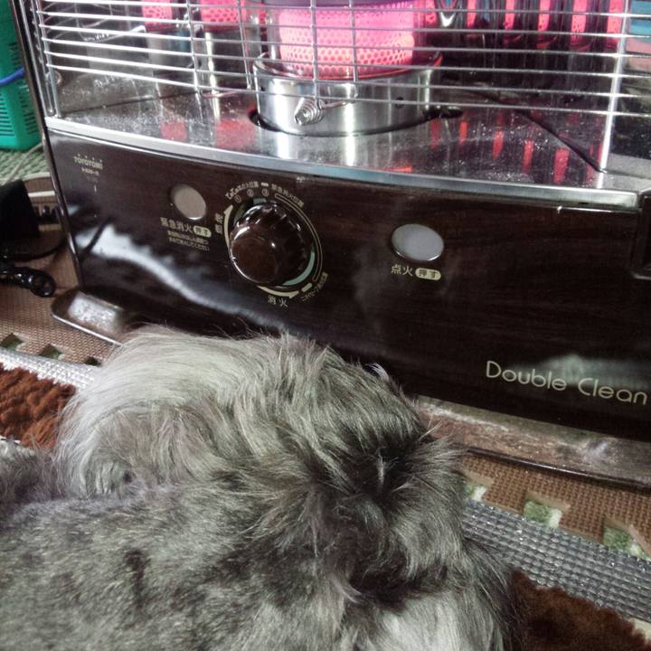 8a8a7296 3fc7 40d4 91c2 f727a83a4cd4