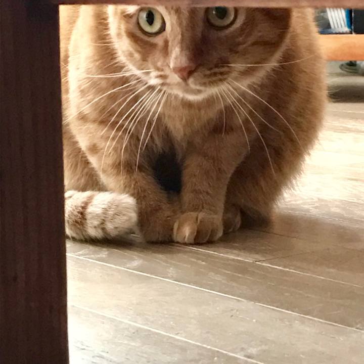 8a8a7c14 62b5 40bf b6d2 c08c2b864933