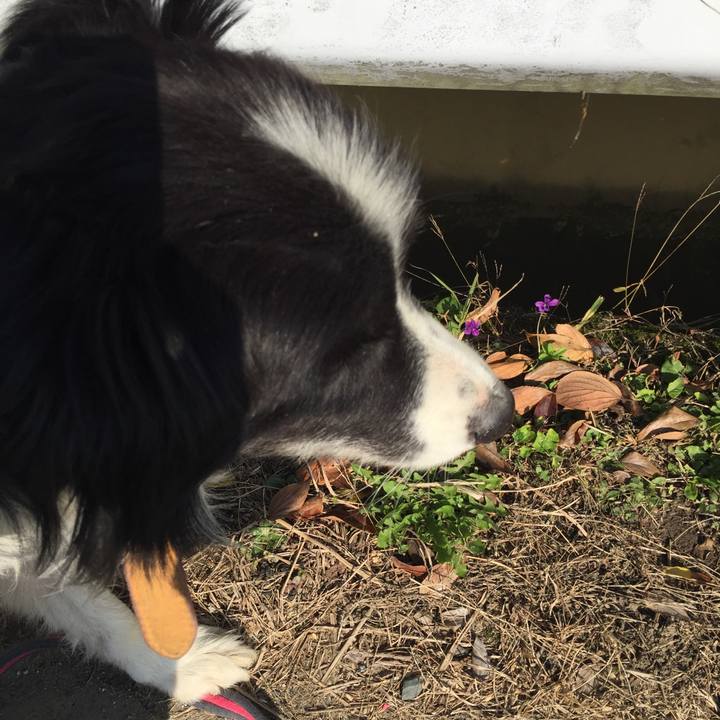 8a8aaaee 2ddb 47f0 8756 b933c14096e6