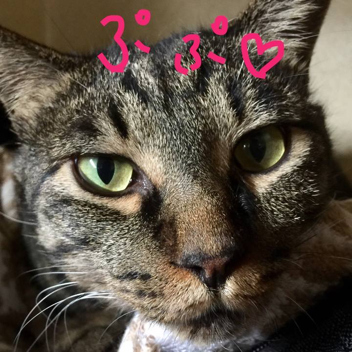 8a8ab2cc 2997 4744 bd2c cc1f92c15ea9