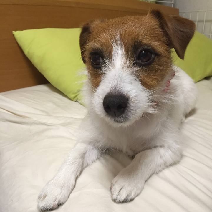 8a8add04 a54b 4cbc 85f6 65edaf77e22f