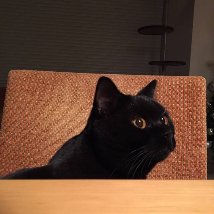 8a8b44c7 dd6e 4231 af27 d1bf4cb39425