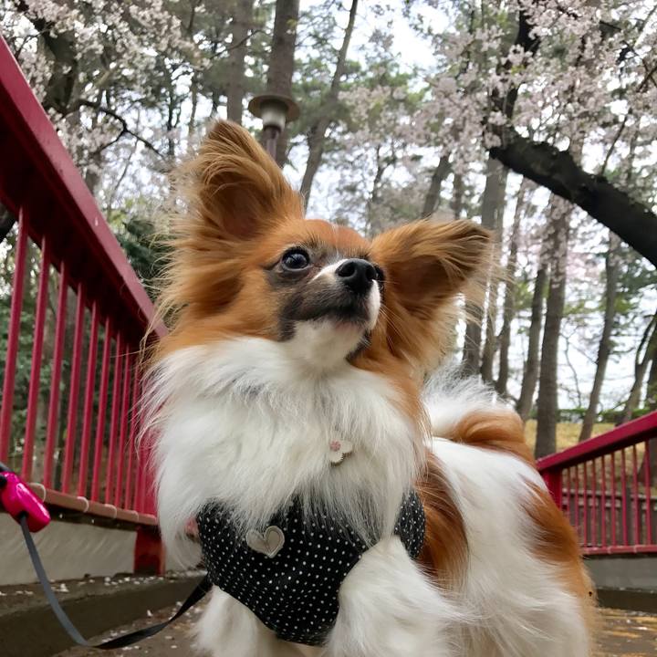 8a8bd442 1f7b 49dd a6b0 f4c344f67883