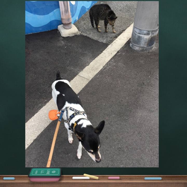 8a8bf422 f287 41f8 a5b6 c56533044aa4