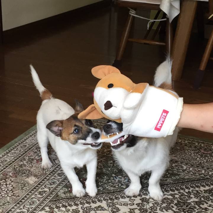 8a8de610 1ced 40e8 b1eb 1a0efe161841