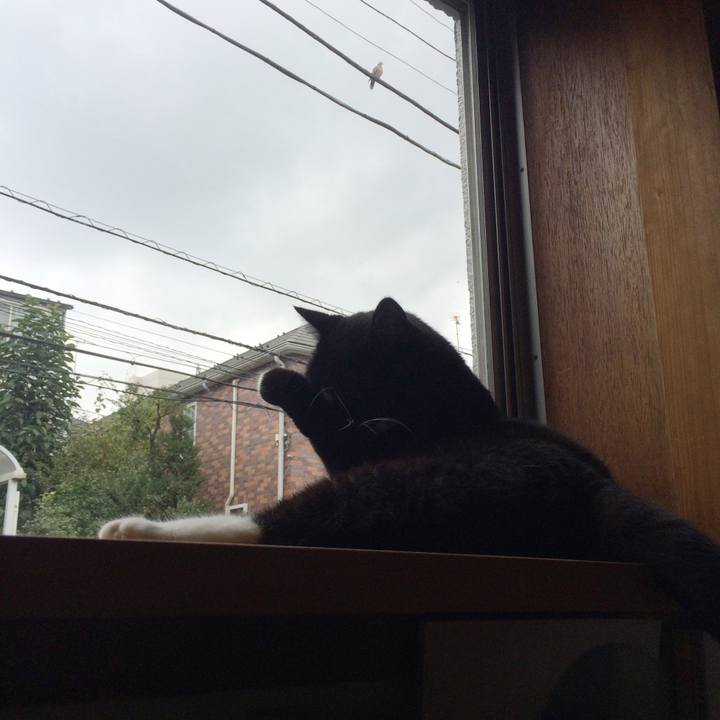 8a8e48c5 bcc4 4589 b623 315942e04b66