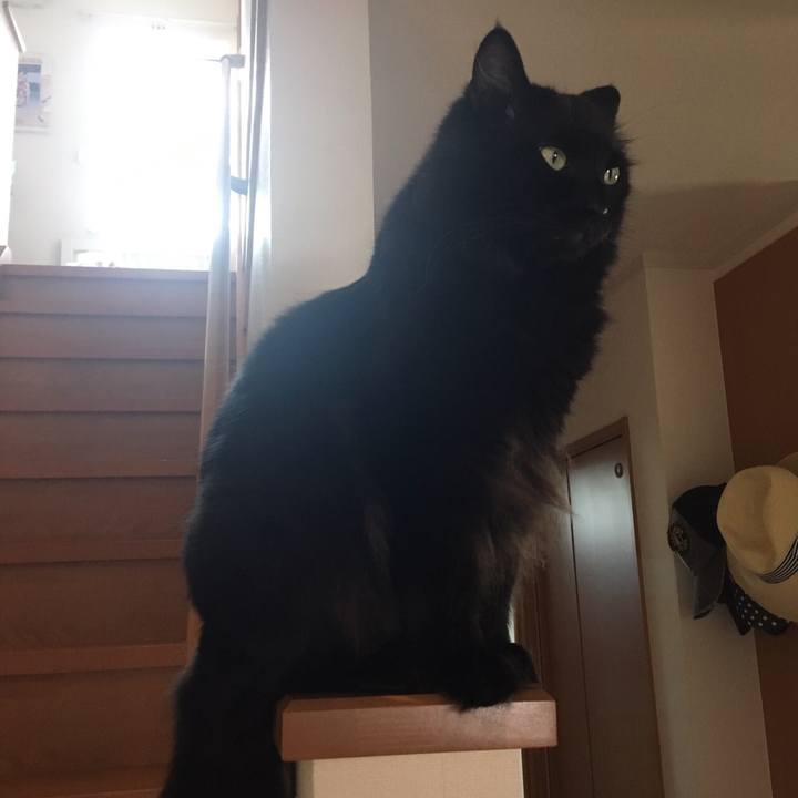 8a8ff16a c34d 4739 be67 37005abbf522