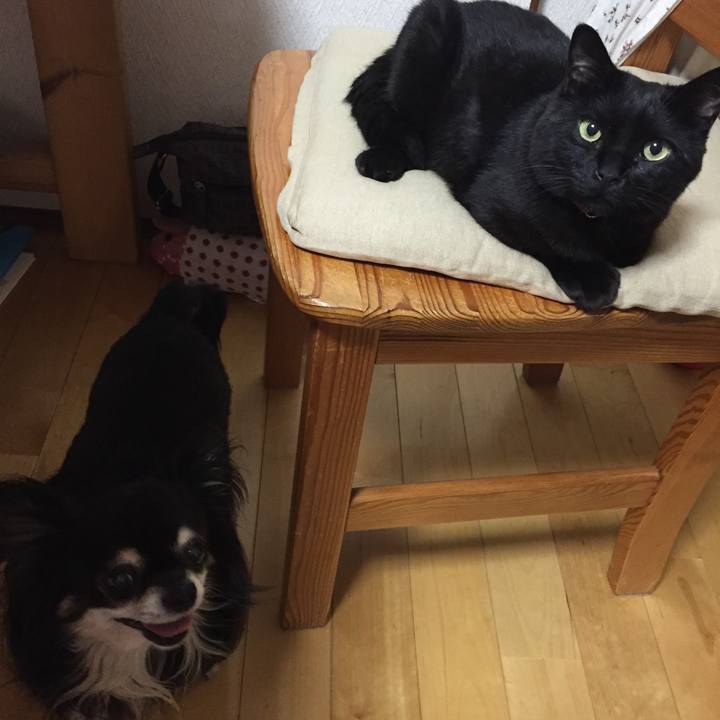 8a8ff67f da29 47ba 99d2 d1fc0799fef1