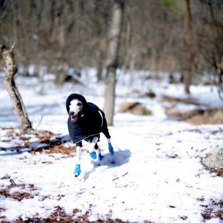 8a902caf cea9 4e2b aa2b 09aff79bc0f9