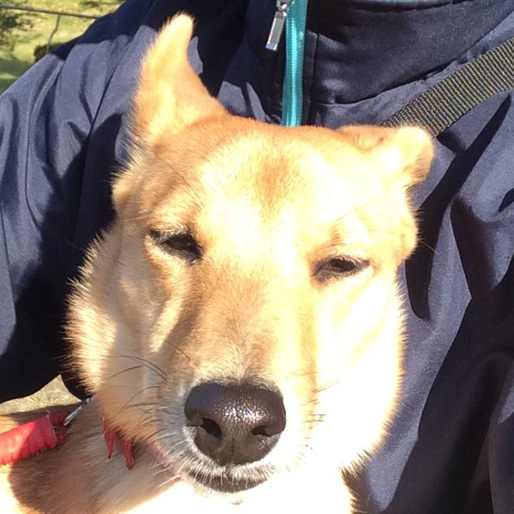 8a9072ff bad4 4830 87ee de9db0f2a7ca