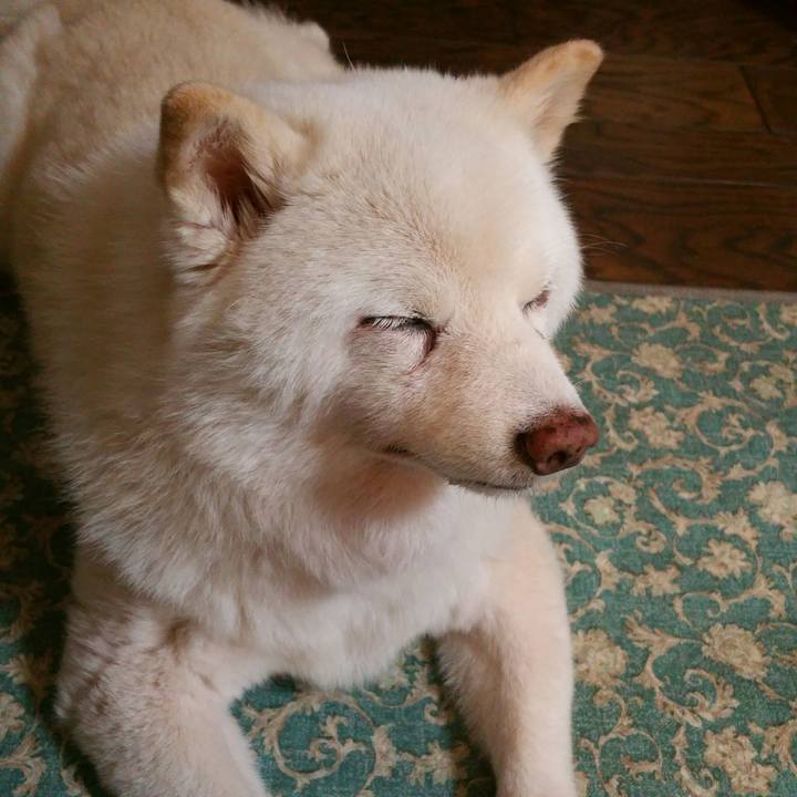 8a90bb81 e545 4fd0 9688 6ab676d21acb