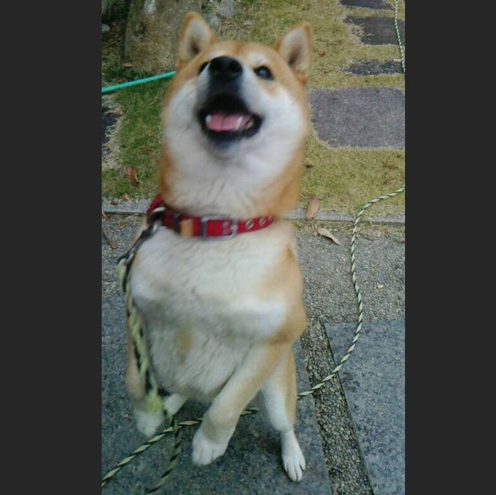 8a91000a 3a36 45b7 a6ff 3f601d5c8a25